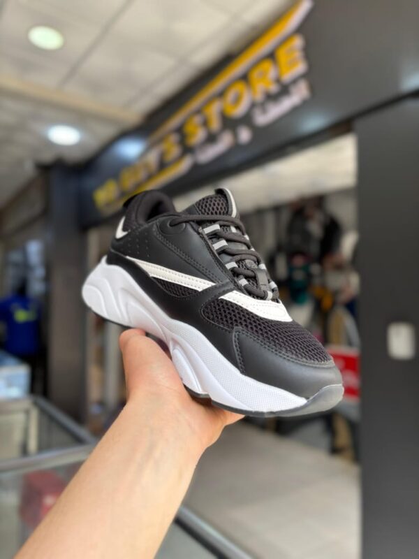 Dior B22